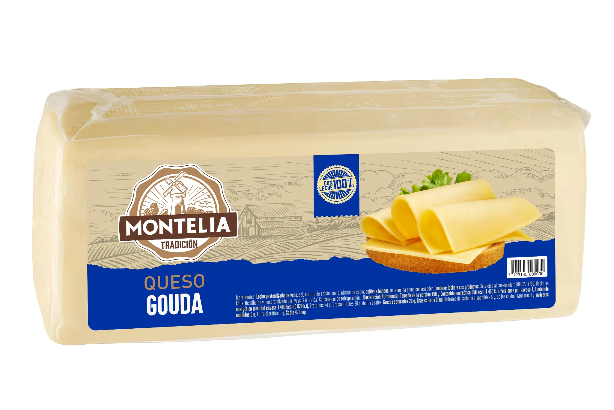 Queso Gouda